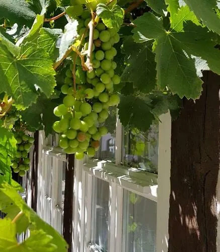 Gaestewohnung Wasserzucht Wunstorf